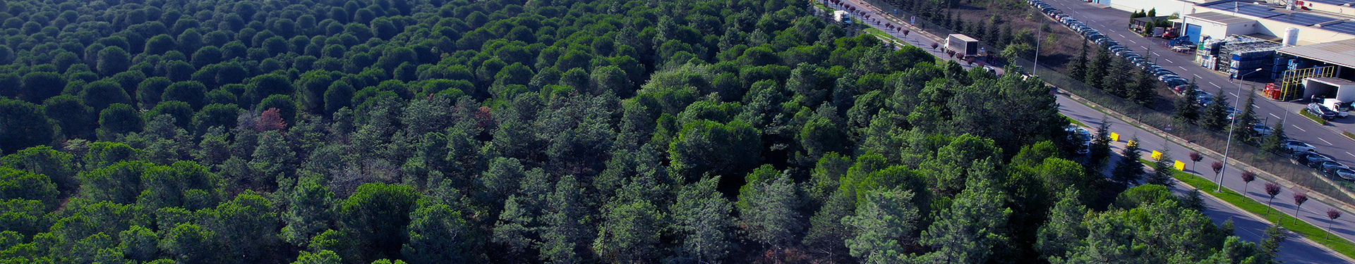 Sosyal Sorumluluk